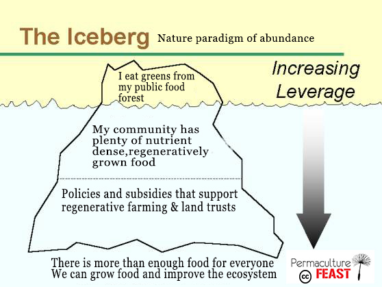 iceberg-abundance