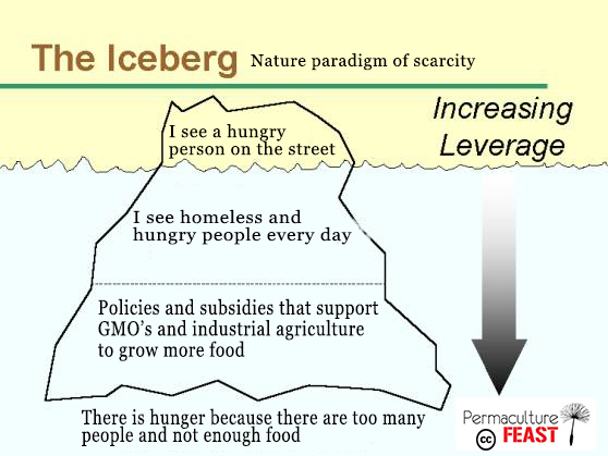 icebery-scarcity